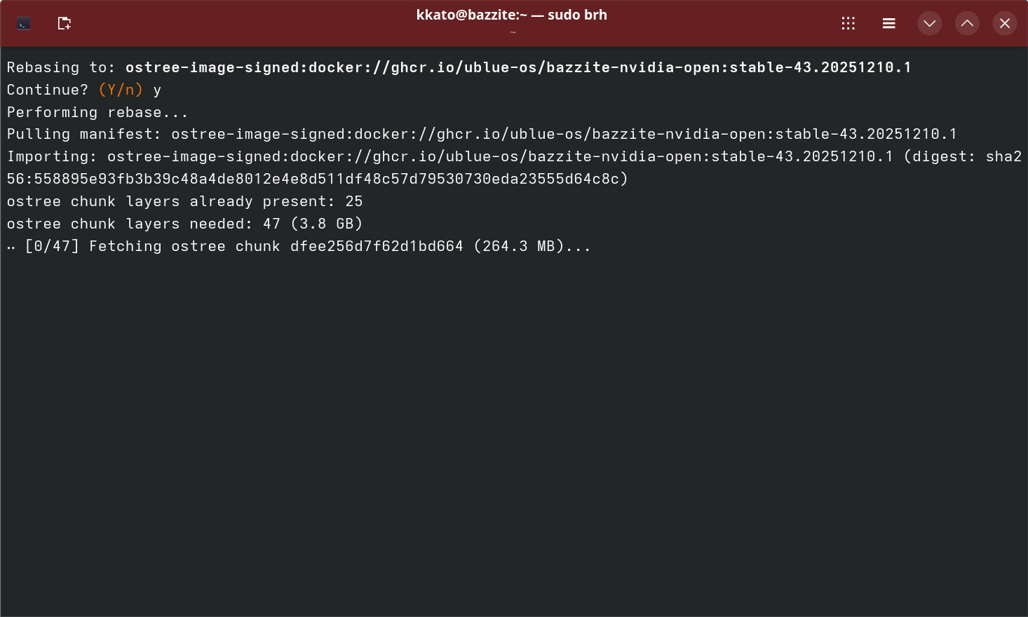 選択したイメージにRebaseしてよいか?　というメッセージが出たら「y」→[Enter]キーを叩く。するとDLが開始され、OSコアの入れ換えが始まる。じっくり待とう