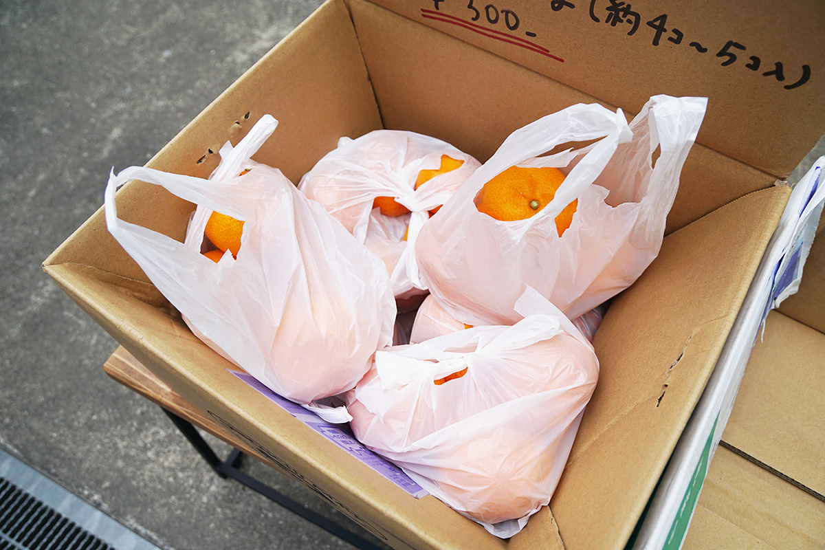 五感ほどく整えカフェ Cafe Daisy(12月27日撮影)