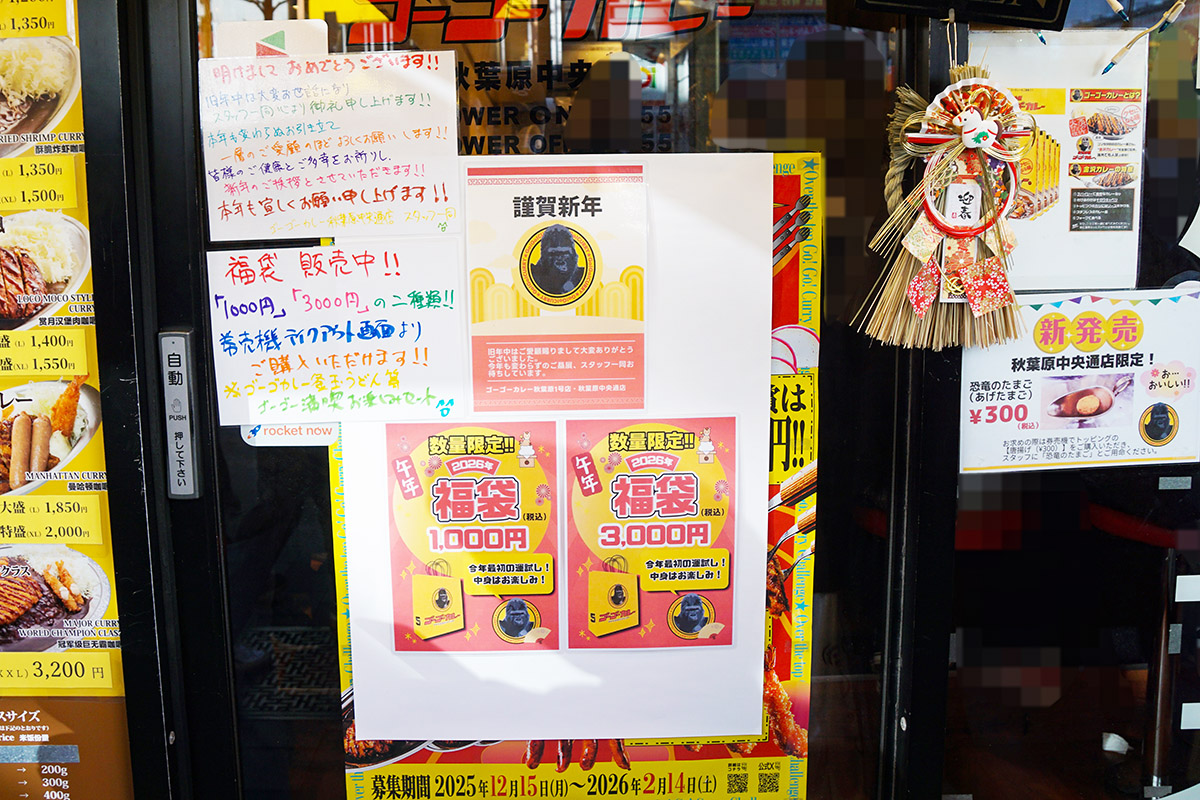 ゴーゴーカレー 秋葉原中央通店(1月3日撮影)