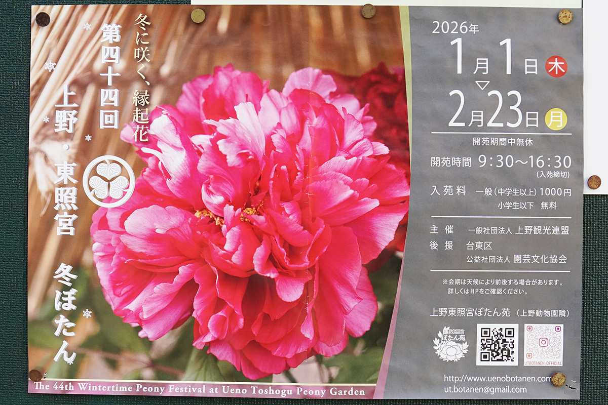 御徒町一丁目町会 台東区掲示板(1月24日撮影)