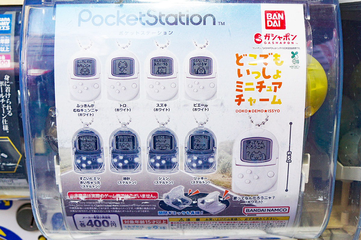 カベの店(1月31日撮影)