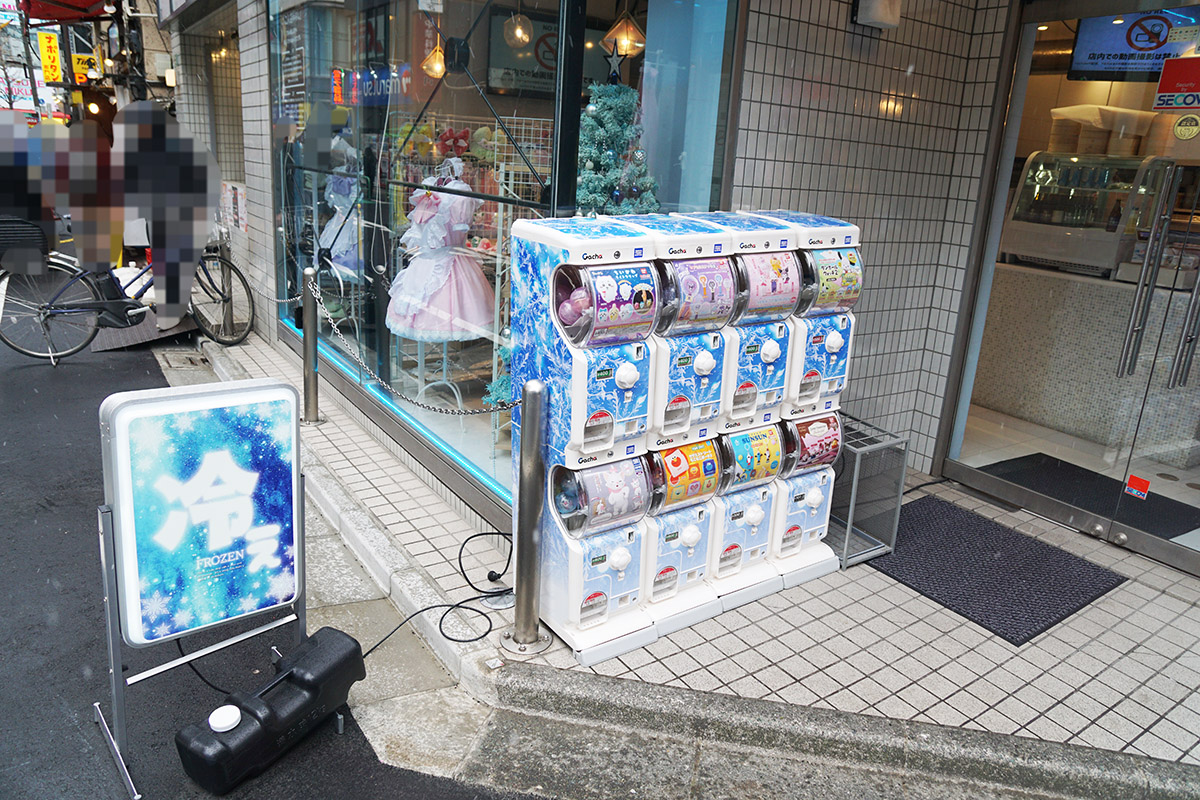 リリアンキュキュ(2月7日撮影)