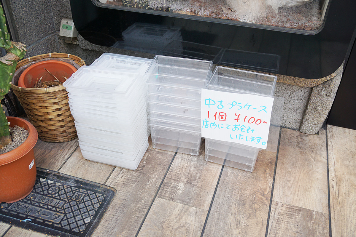 REPTILES TOKYO 秋葉原本店(2月7日撮影)