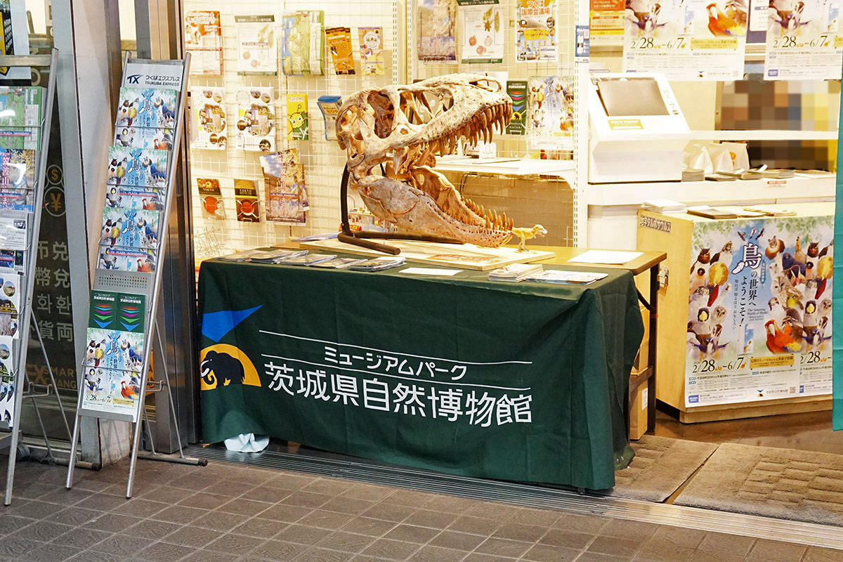 TXプラザ秋葉原(2月7日撮影)