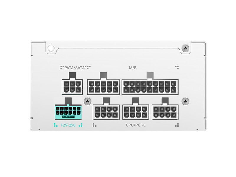 ホワイトモデル