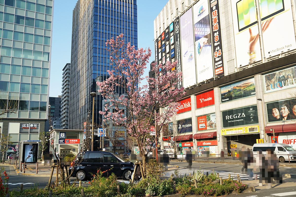 秋葉原駅東口優良タクシー乗り場(3月21日撮影)