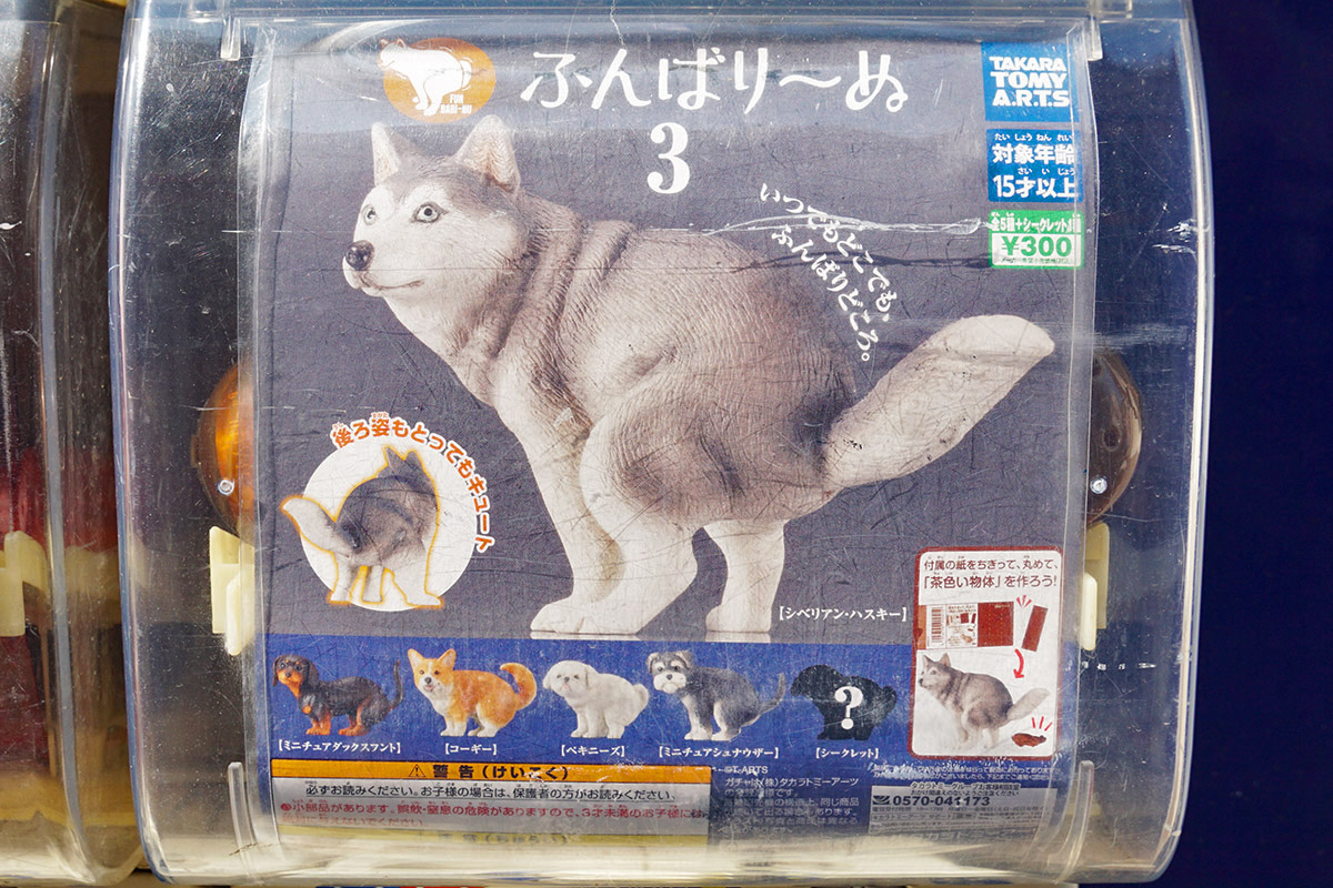 駿河屋秋葉原駅前店(3月28日撮影)