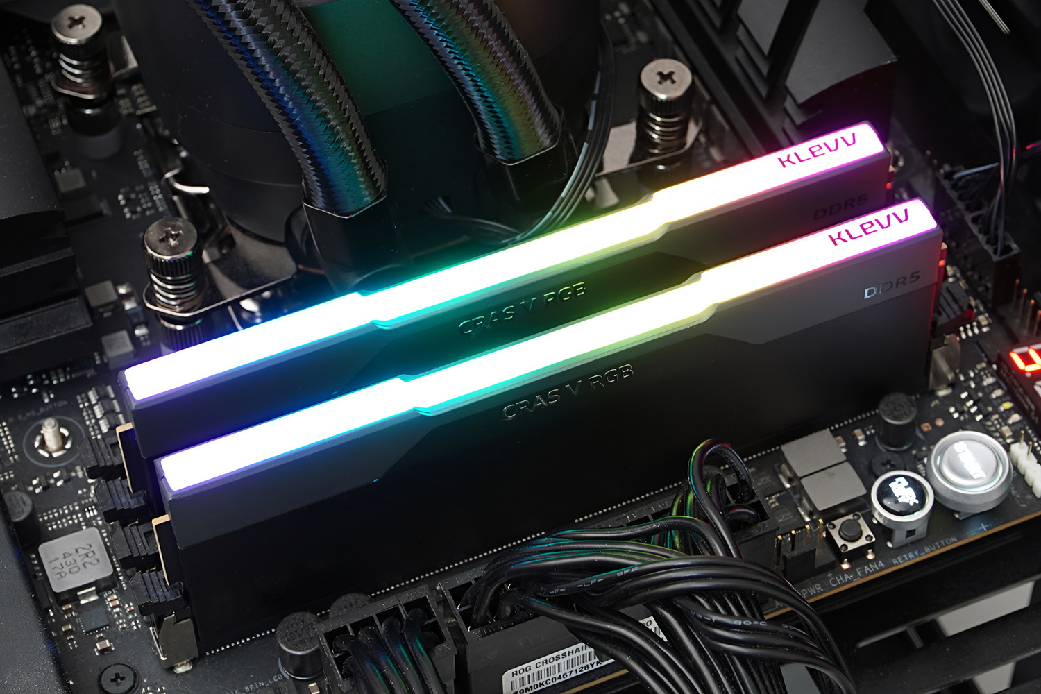 天面全体が光る鮮やかなライティングだ