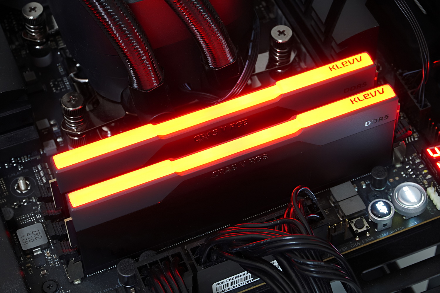 天面全体が光る鮮やかなライティングだ