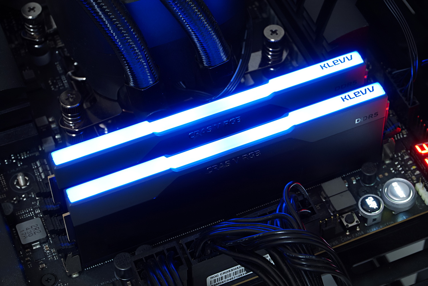 天面全体が光る鮮やかなライティングだ