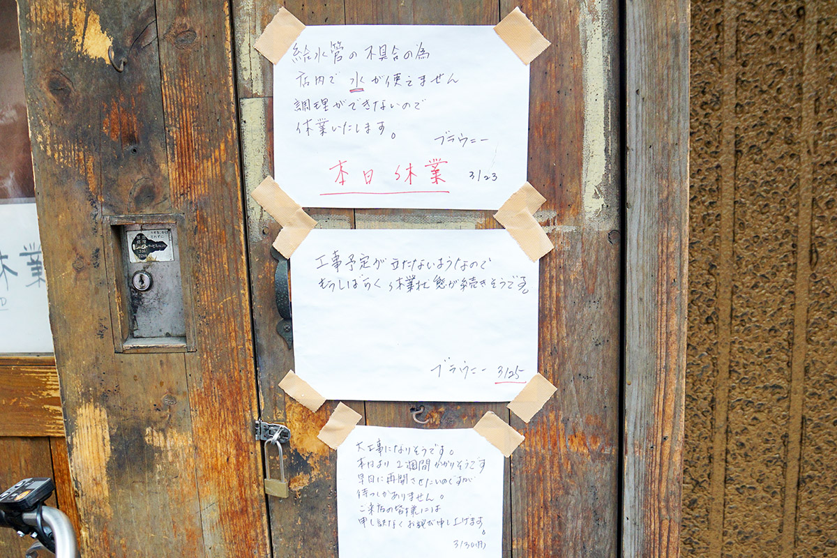 ブラウニー(4月4日撮影)