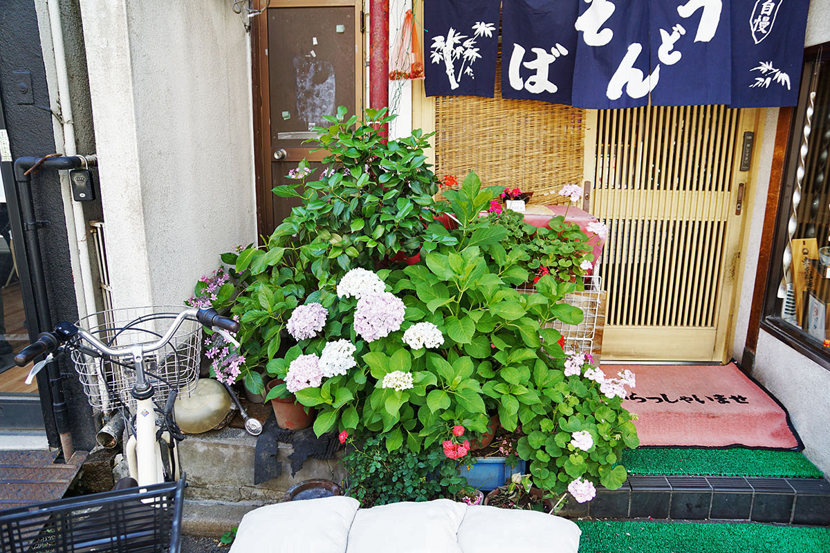 松月庵(5月30日撮影)
