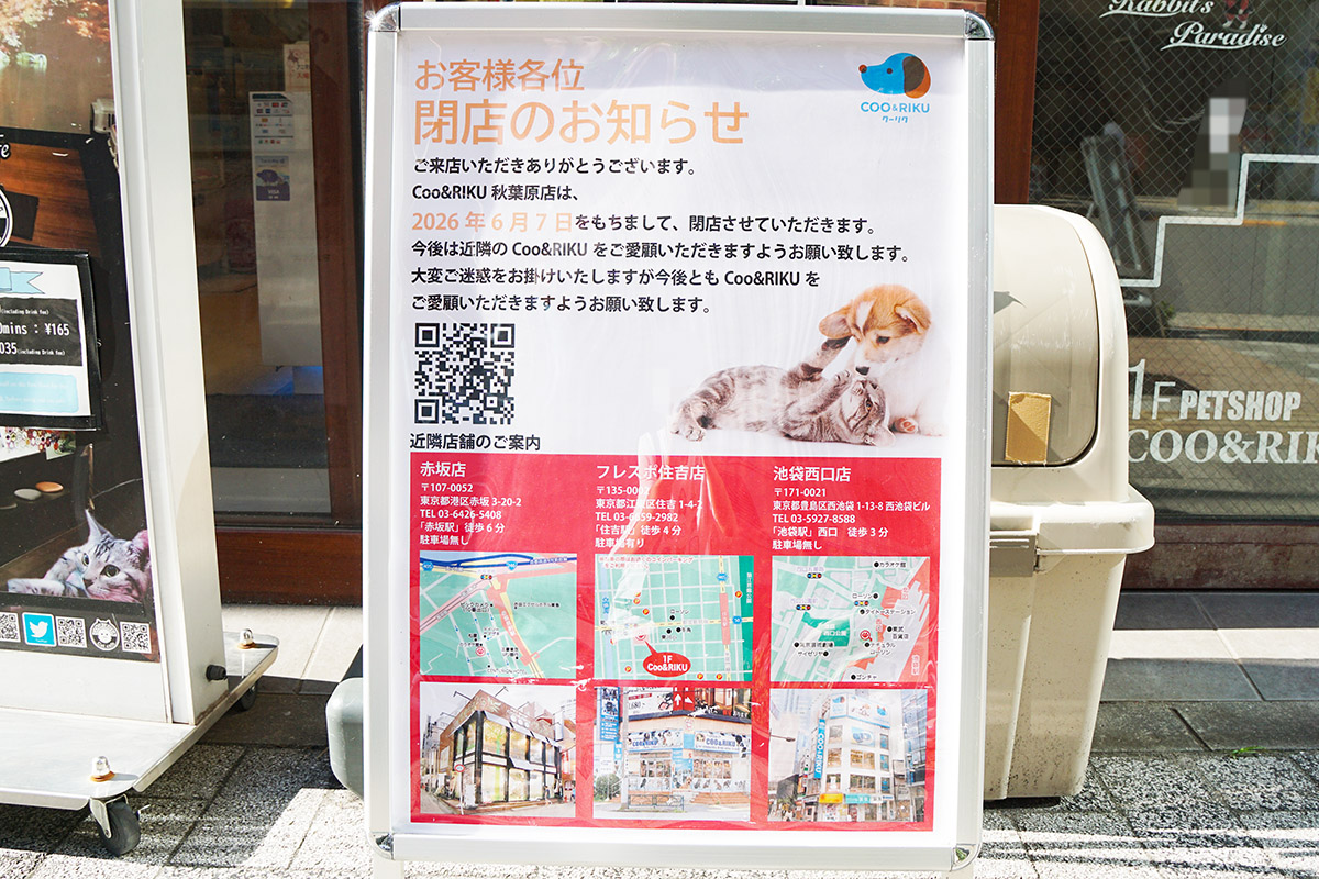 ペットショップCoo&RIKU 秋葉原店(5月30日撮影)