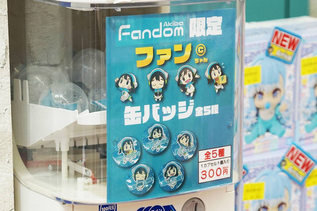 FandomAkiba(6月13日撮影)