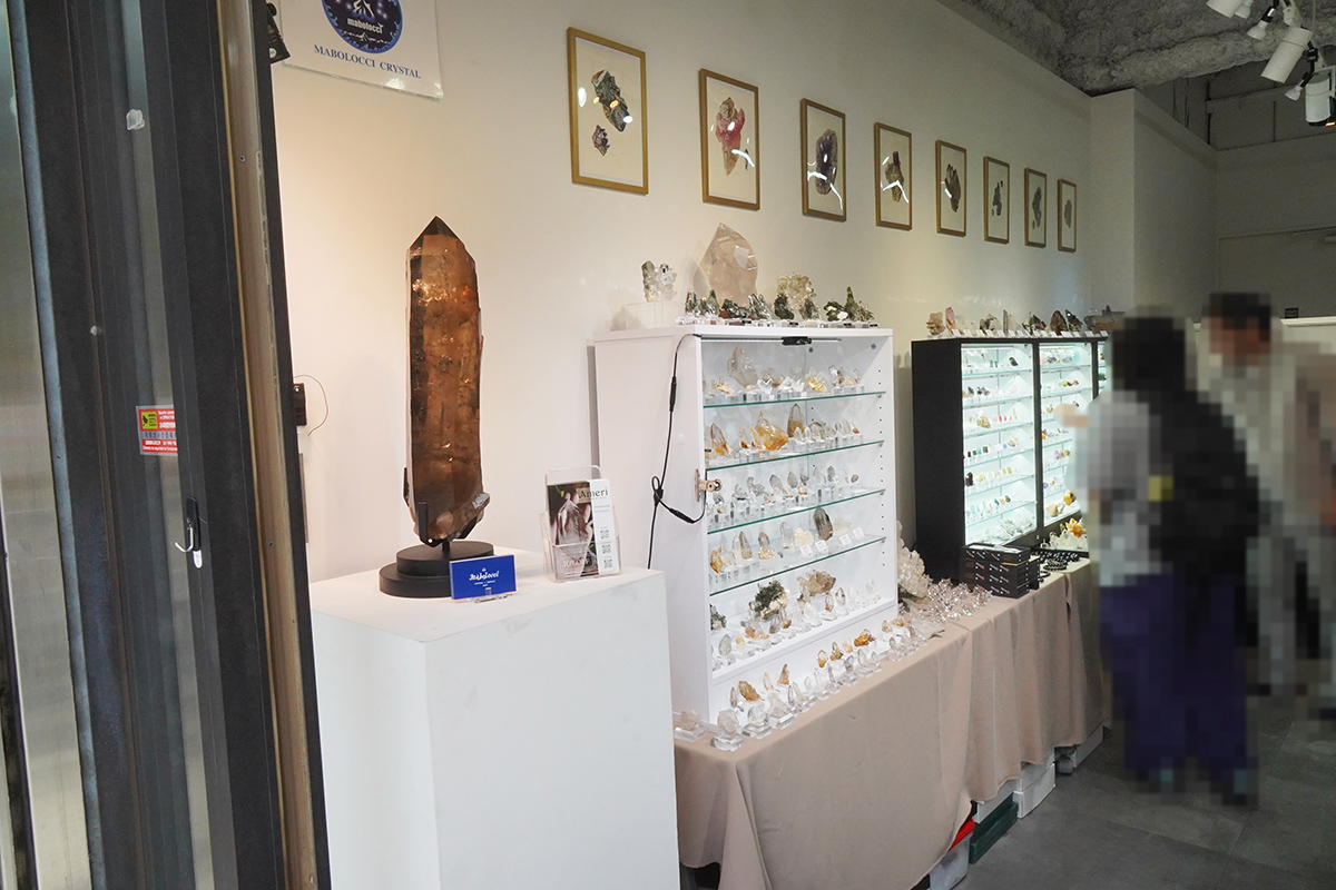 BASTET GALLERY(7月11日撮影)