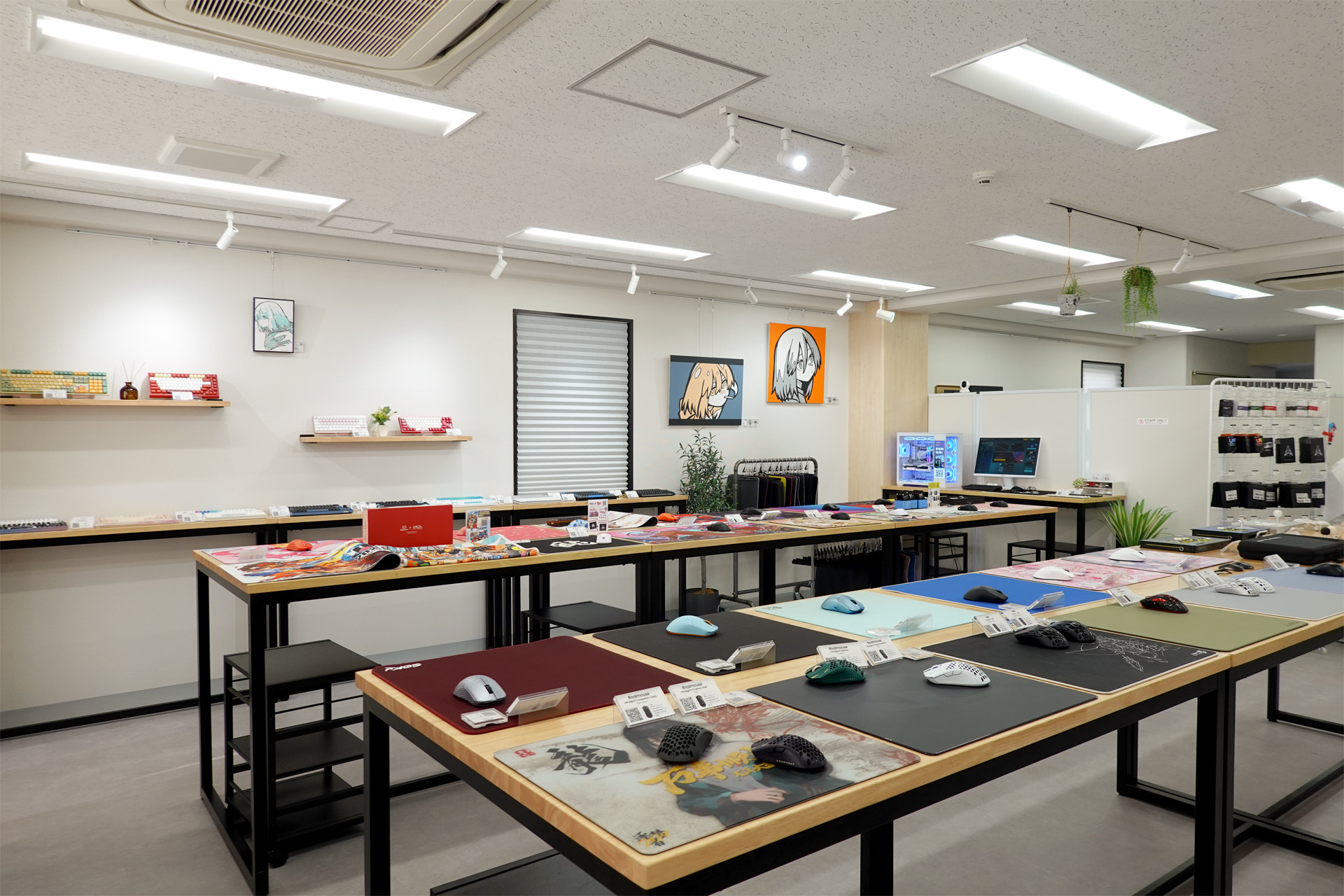 展示コーナー