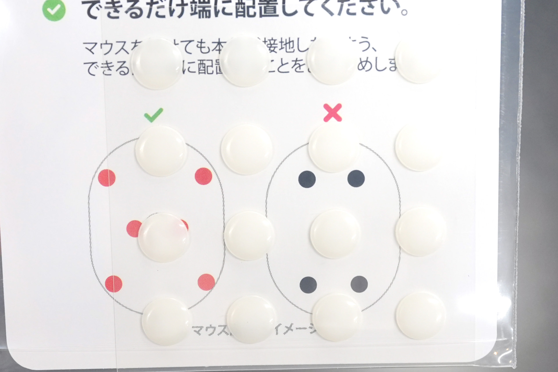 フタエP6