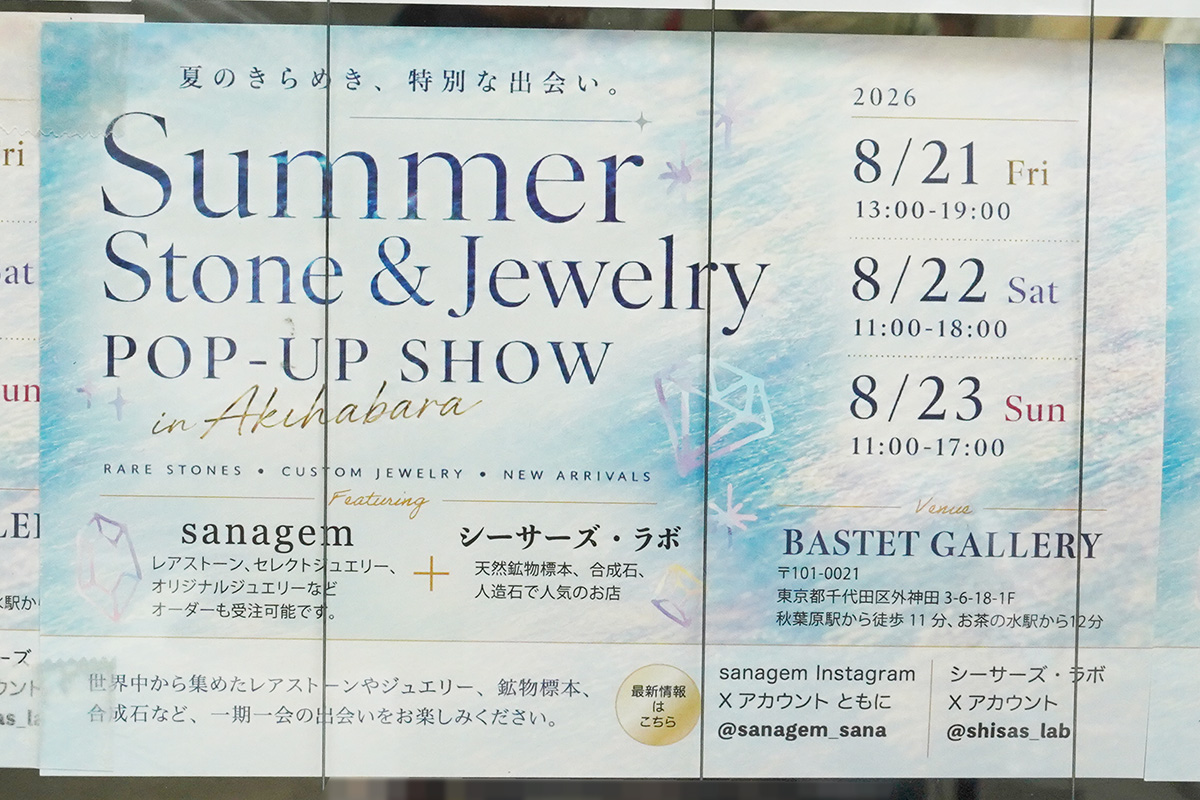 (8月22日撮影)