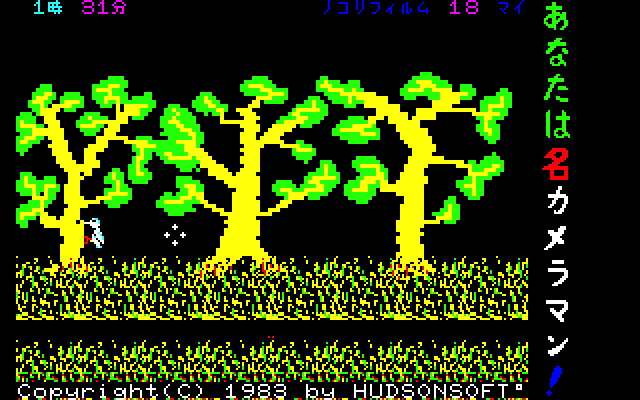 ゲームが始まると、森のあちこちから動物たちが顔を出します。ウサギやイノシシは画面左右の道から現れるほか、キツツキやシカなどは特定の位置に出現するので、そこを覚えておけば確実に撮影できます。