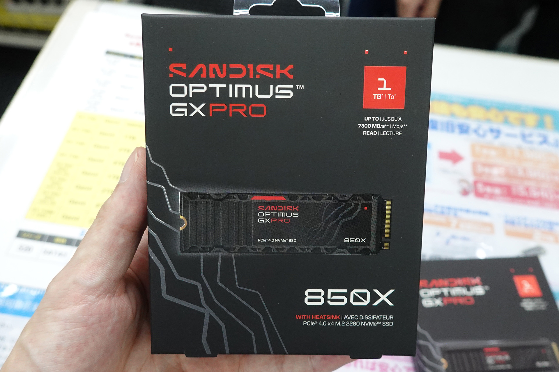 「SANDISK Optimus GX PRO 850X」