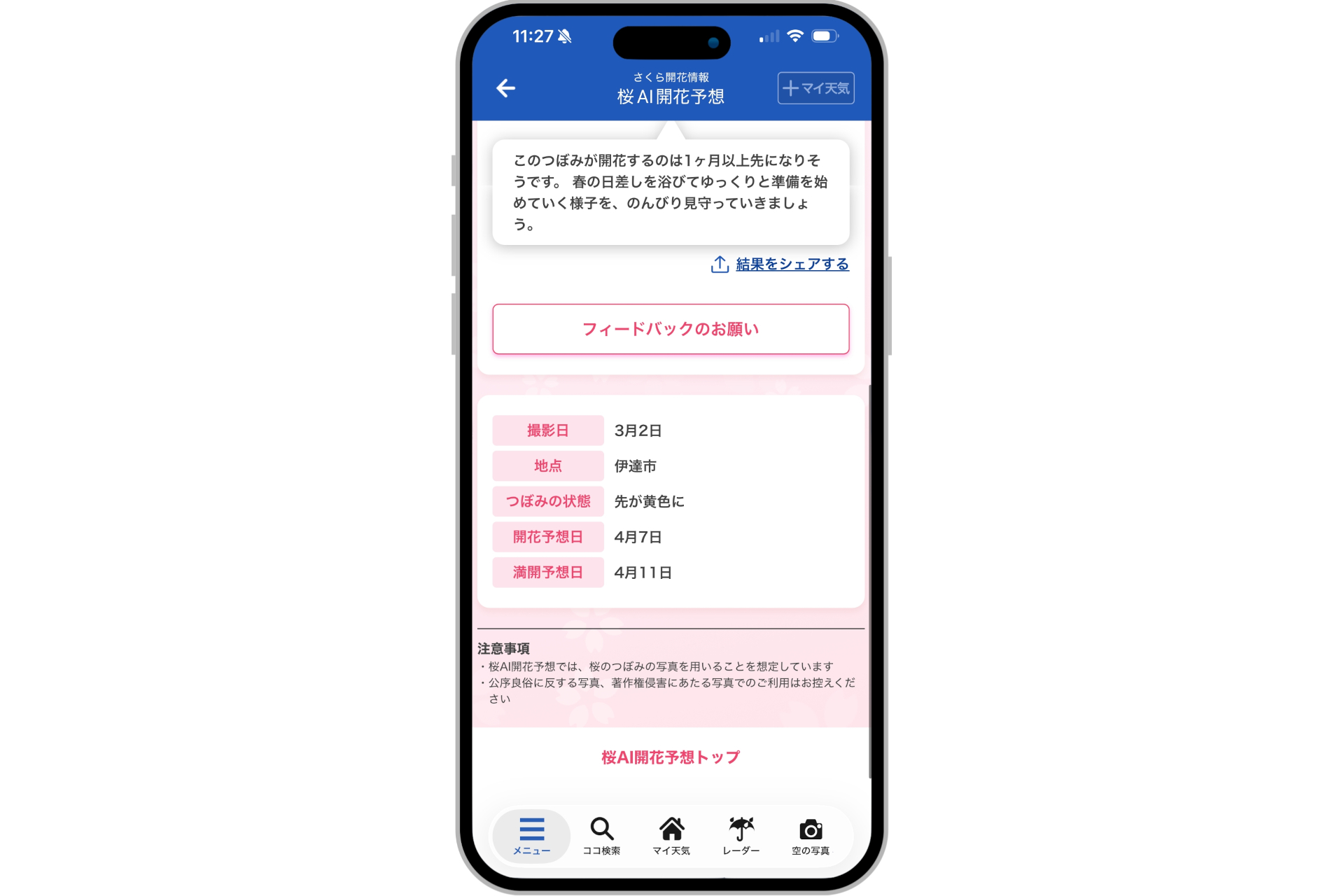 今年から満開予想日も確認できる