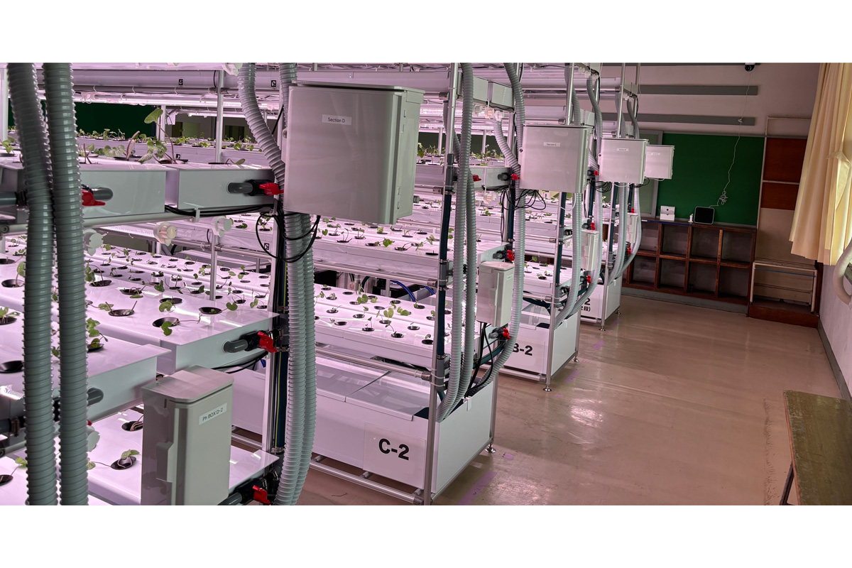 ビルトイン型わさび栽培モジュール