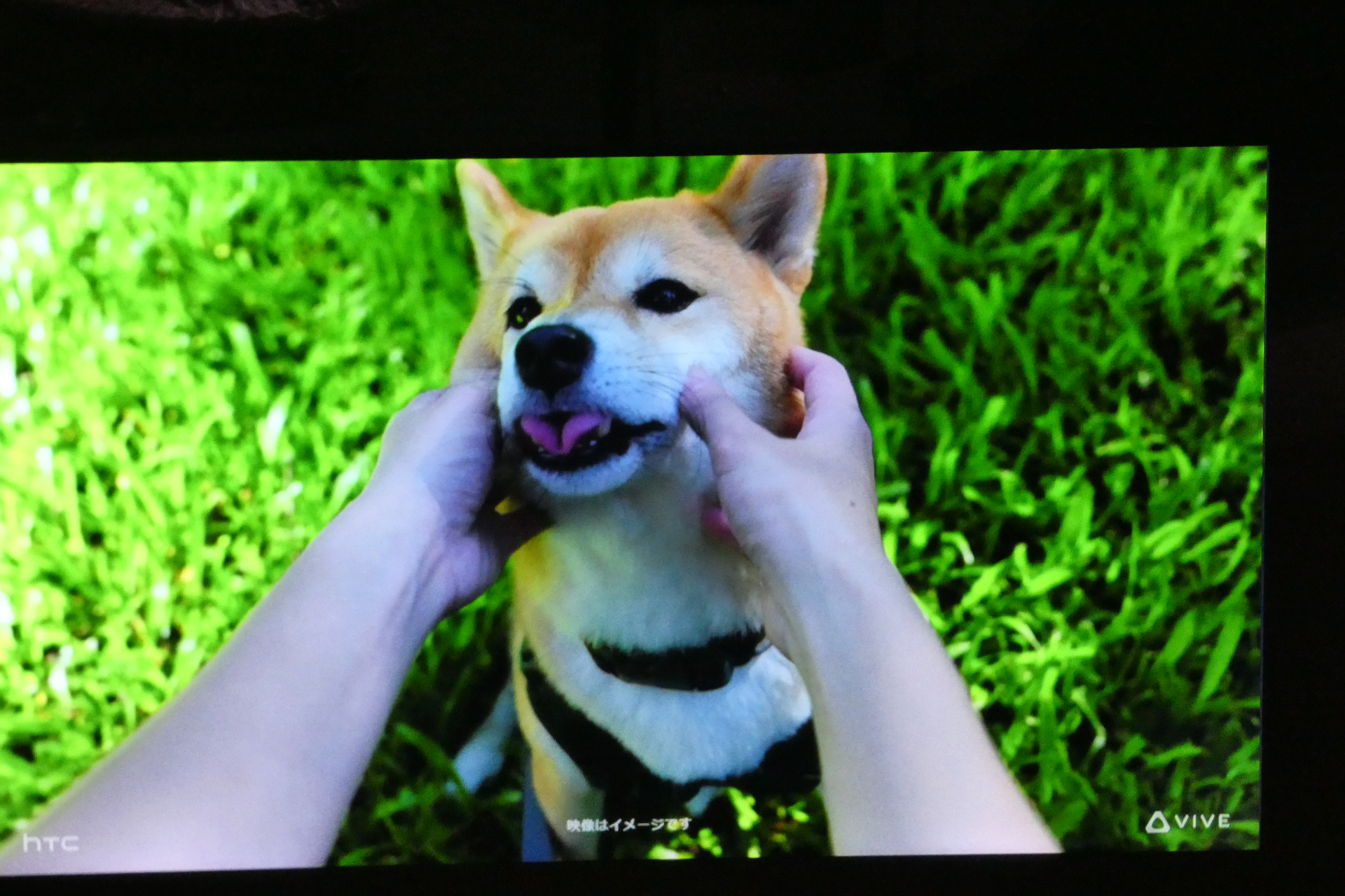 ハンズフリー撮影のイメージ