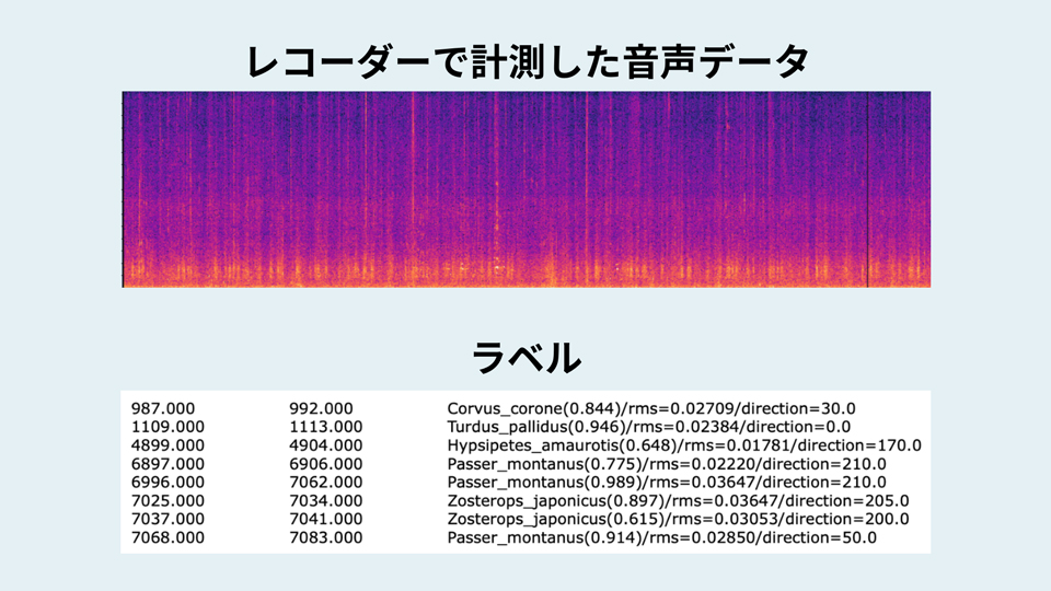 専用マイクで収集した音声をAIが解析し、生物の鳴き声を自動識別