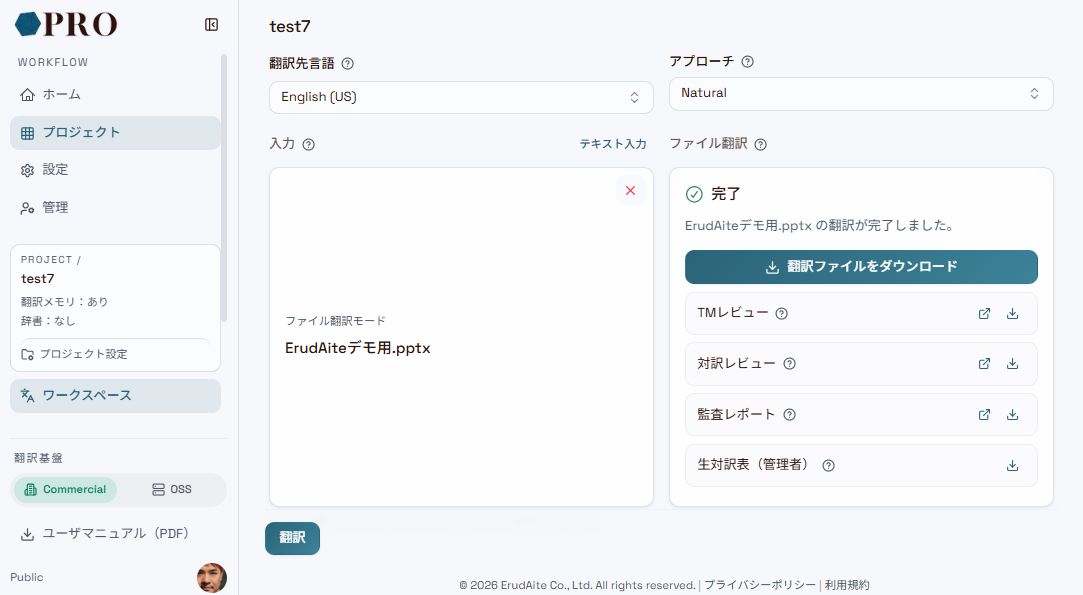 翻訳終了後に、監査レポートがUI上でもファイルでも確認可能