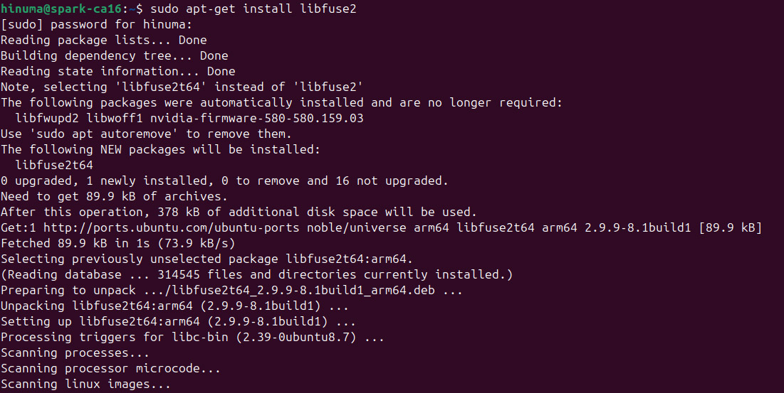 続いて「sudo apt-get install libfuse2」を実行