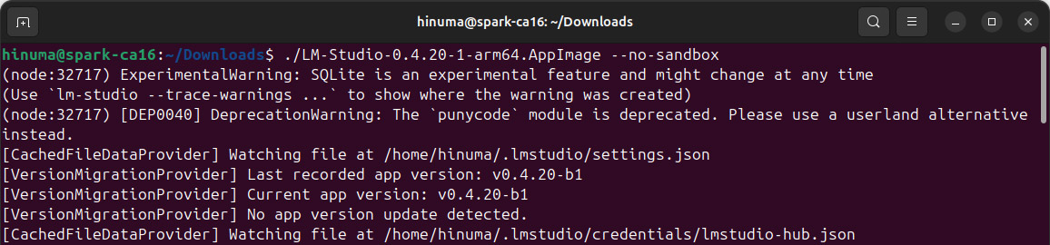 続いてAppImageのある場所で「LM-Studio.AppImage --no-sandbox」のように実行すればLM Studioが立ち上がる