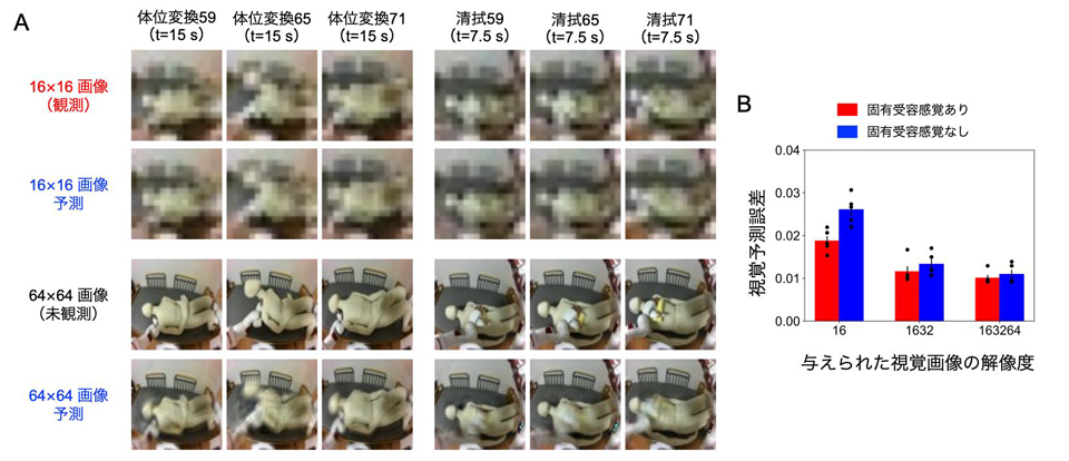 不鮮明な視覚に対する頑健性