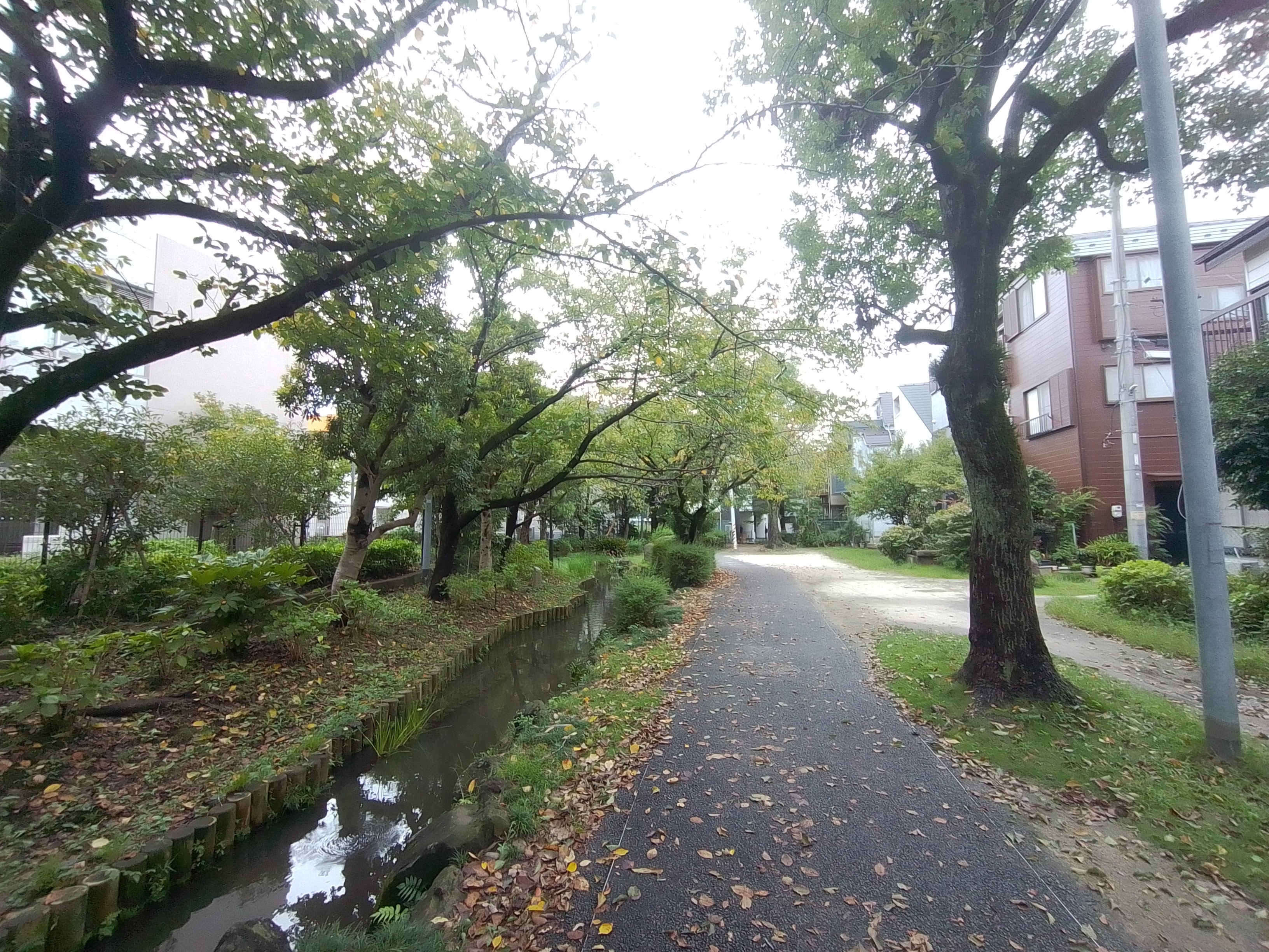 INMO GO 3で撮影した写真