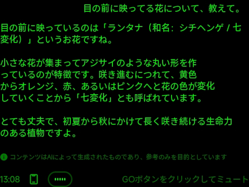 目の前の花についてAIアシスタント（ChatGPT）に教えてもらった