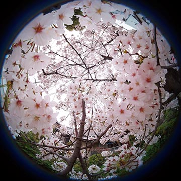 ミニトピ】VR視聴も楽しい「360度カメラ」。撮影の基本と、一歩進んだ