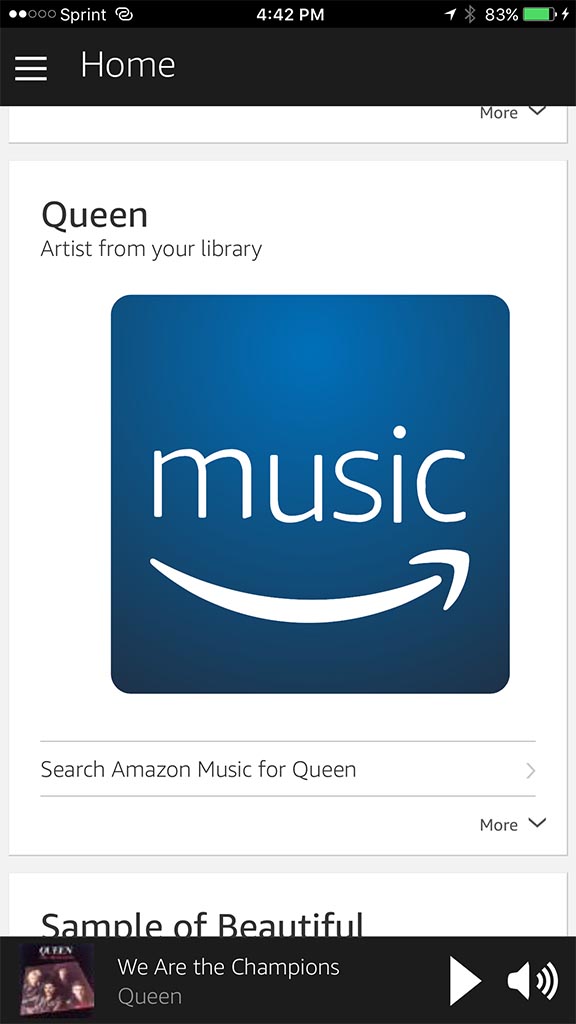 Echo(Alexa)のサービス連携画面。音楽サービスだけでなく、オーディオブックの名前も見えるところに注目
