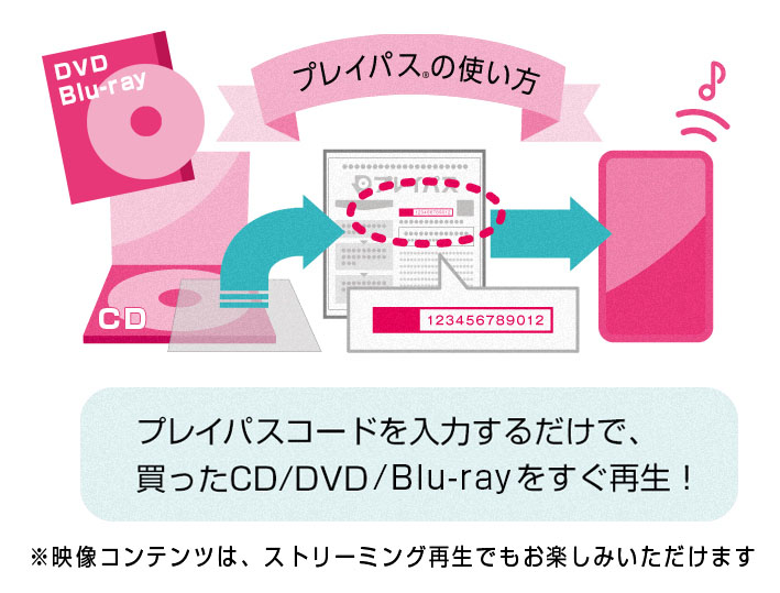 「プレイパス」の概要