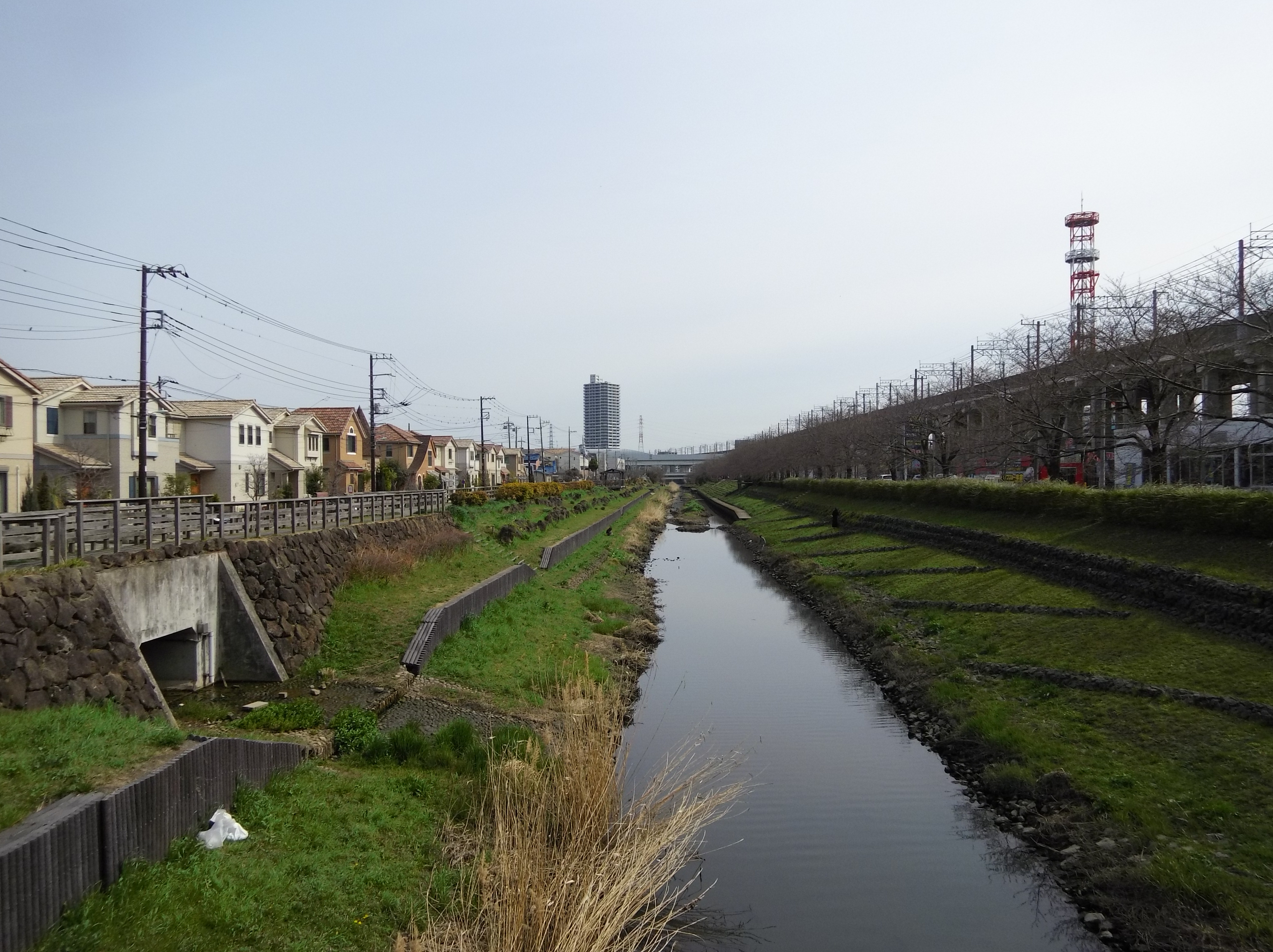 True Zoomワイド端