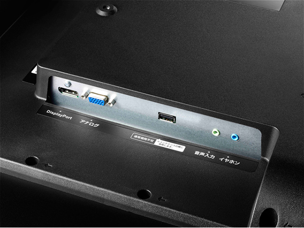 4K60p対応のDisplay Port(左)。アナログRGBやステレオミニの音声入力、ヘッドフォン出力も