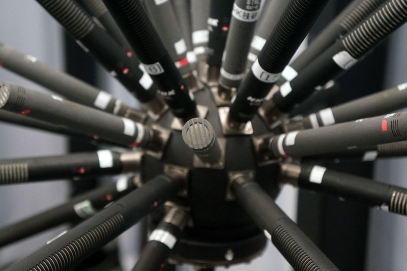 長いのが主マイク、短いのが補助マイク