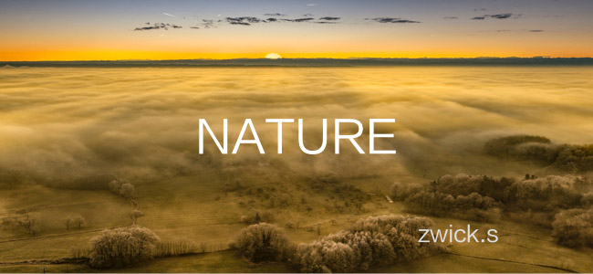Nature空撮のイメージ
