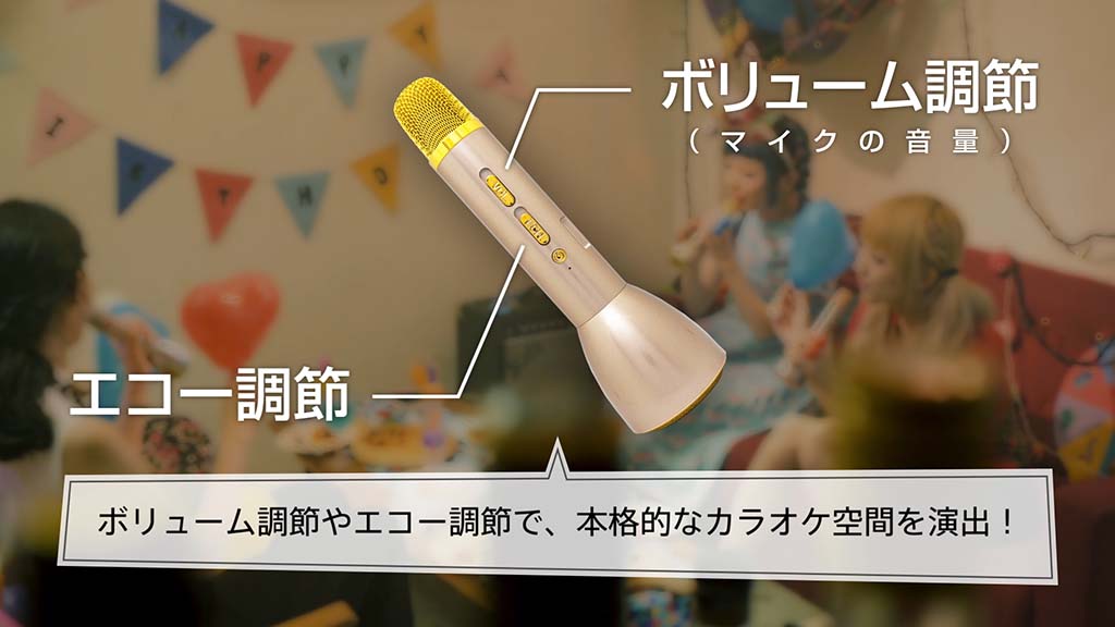 エコーも調整できる
