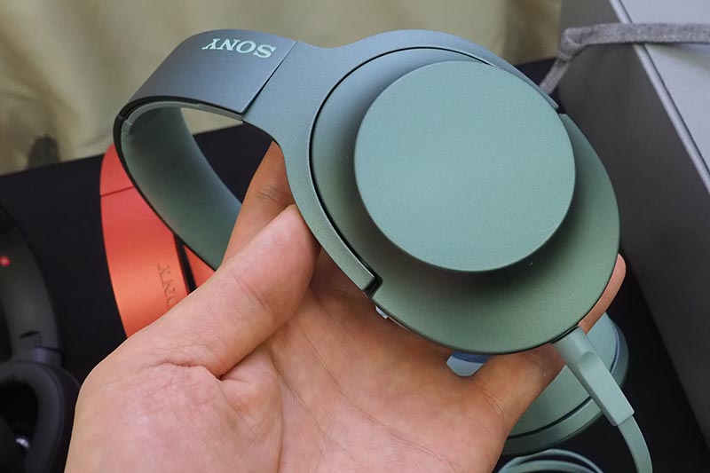 ホライズングリーンモデル