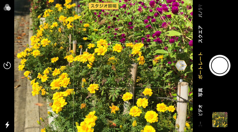スタジオ照明