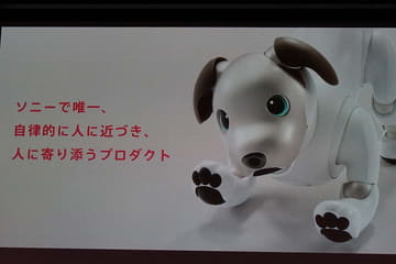 ソニーのロボット犬「aibo」復活! 心のつながりをもつエンタメロボ