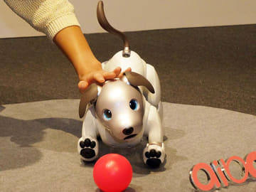 ソニーのロボット犬「aibo」復活! 心のつながりをもつエンタメ