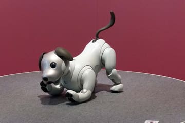 aiboも採用したソニー ディープラーニング開発環境に無償クラウド