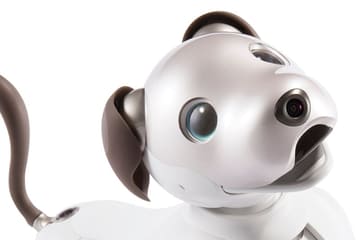 aiboも採用したソニー ディープラーニング開発環境に無償クラウド