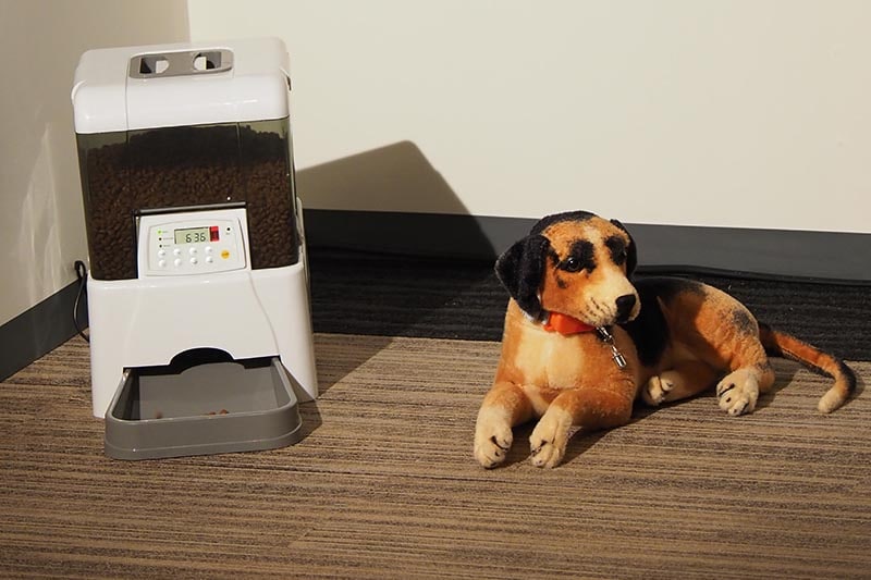 将来のイメージとして、ペットへの「スマート餌やり」も