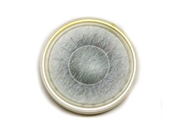 【新品・未開封】SONY MDR-E888SP バイオセルロース振動板 即決送料無料 SONY MDR-E888 動作品 バイオセルロース振動板 有線